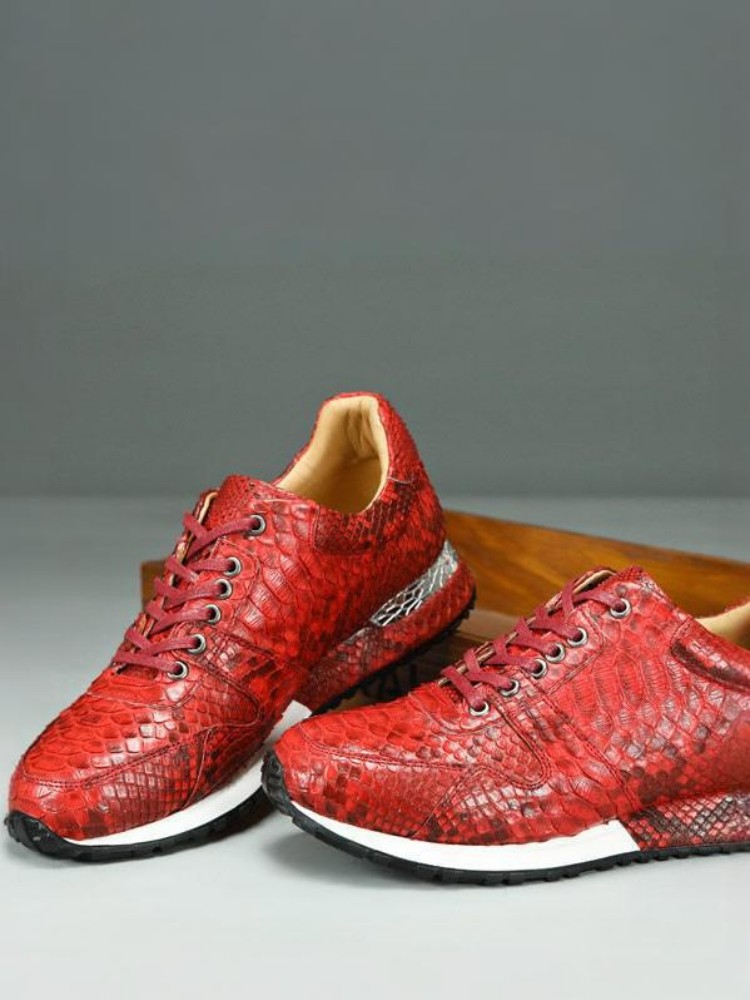 Chaussures décontractées en cu - Crossfit Male avis et prix