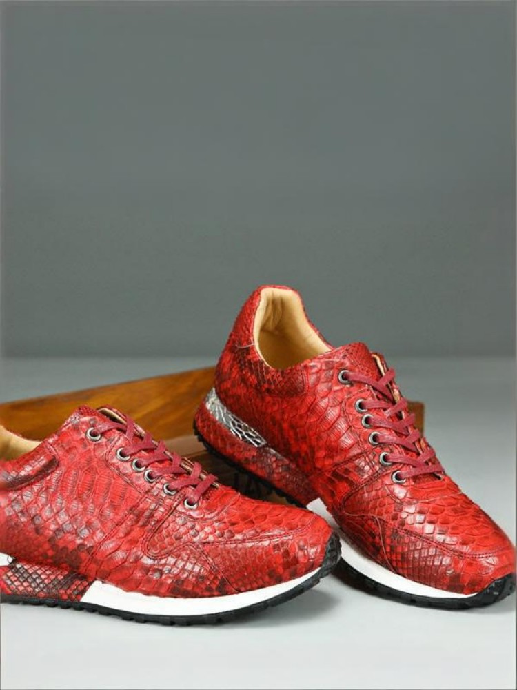 Chaussures décontractées en cu - Crossfit Male avis et prix